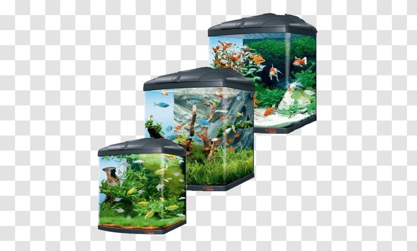 Biotope Aquarium Fresh Water Fishkeeping Cube - Lamp Transparent PNG
