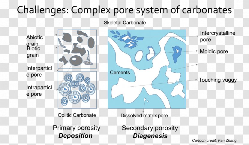 Porosity Carbonate Rock Geophysics - Cartoon - Research Transparent PNG