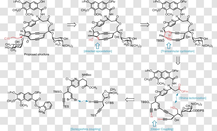 Kedarcidin Chromophore Enediyne Chromoprotein Calicheamicin - Text Transparent PNG