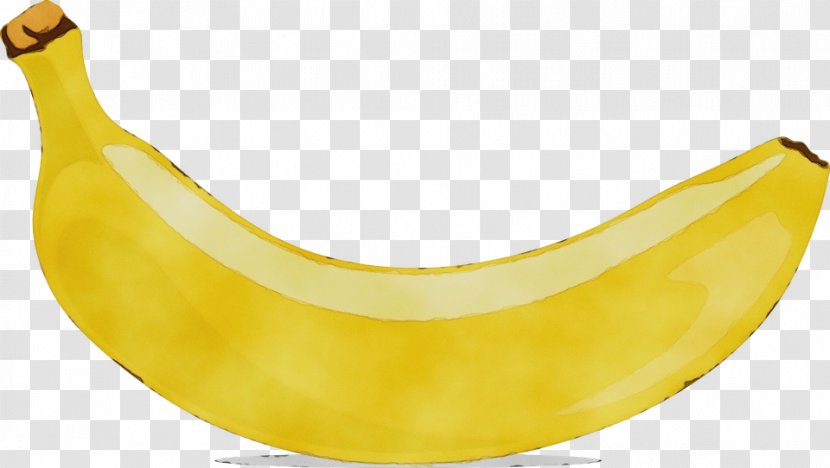 Banana Family Yellow Fruit Plant - Cooking Plantain Neck Transparent PNG