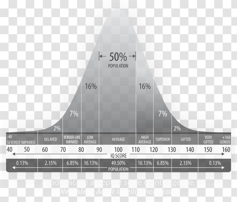 Intelligence Quotient Intelligenstest Understanding Cognitive Skill - Verywell - Mind Transparent PNG