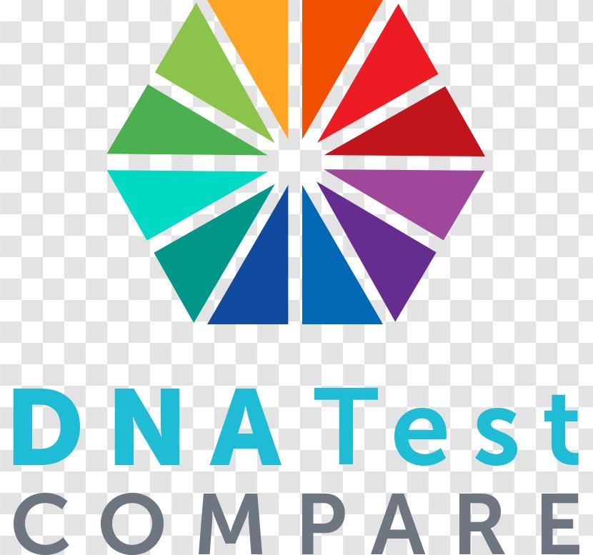 Color Wheel Human Hair Diamond Integrative Health, Inc. Graphic Design - Business - Genetic Testing Transparent PNG