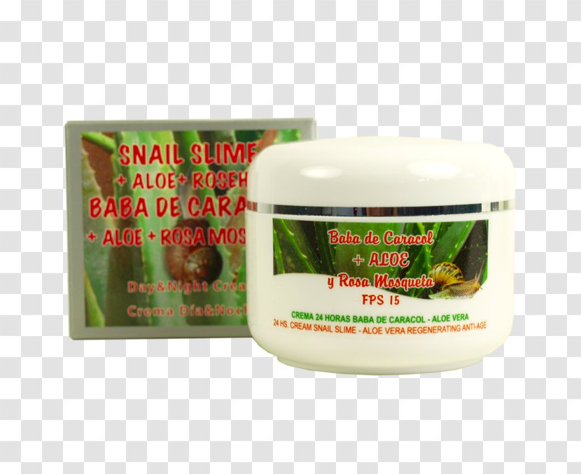 Aloe Vera Sweet-Brier Cream Snail Slime - Moisturizer Transparent PNG