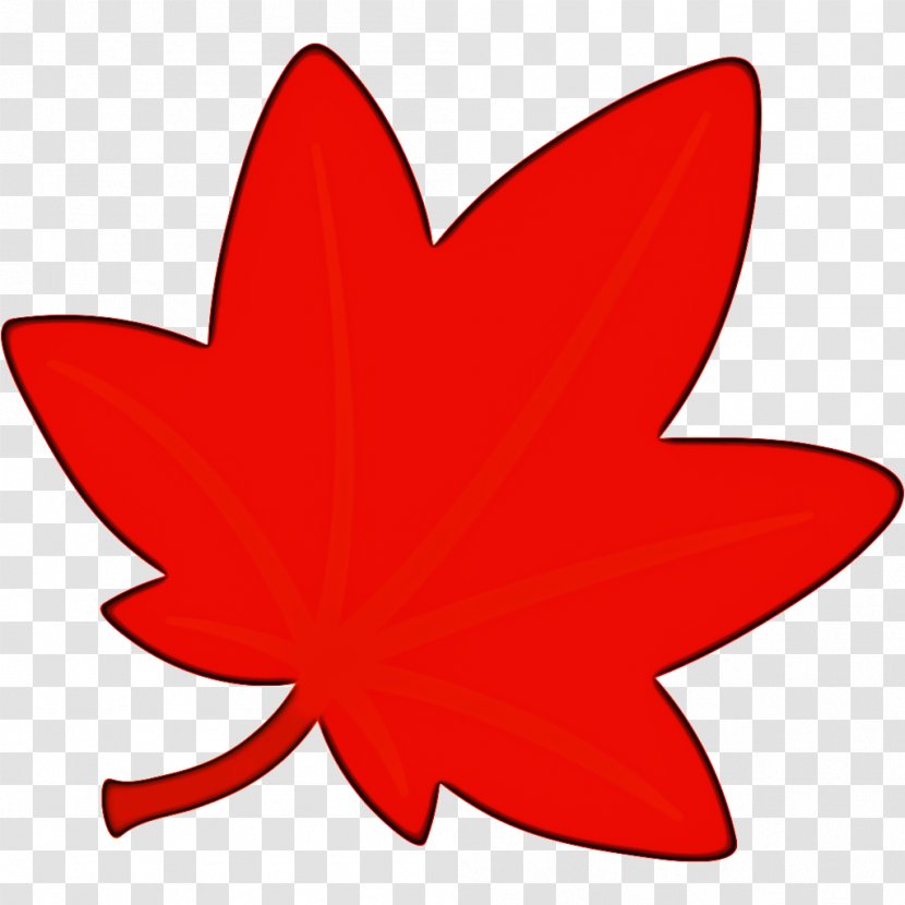 Red Maple Tree - Carmine - Plant Transparent PNG