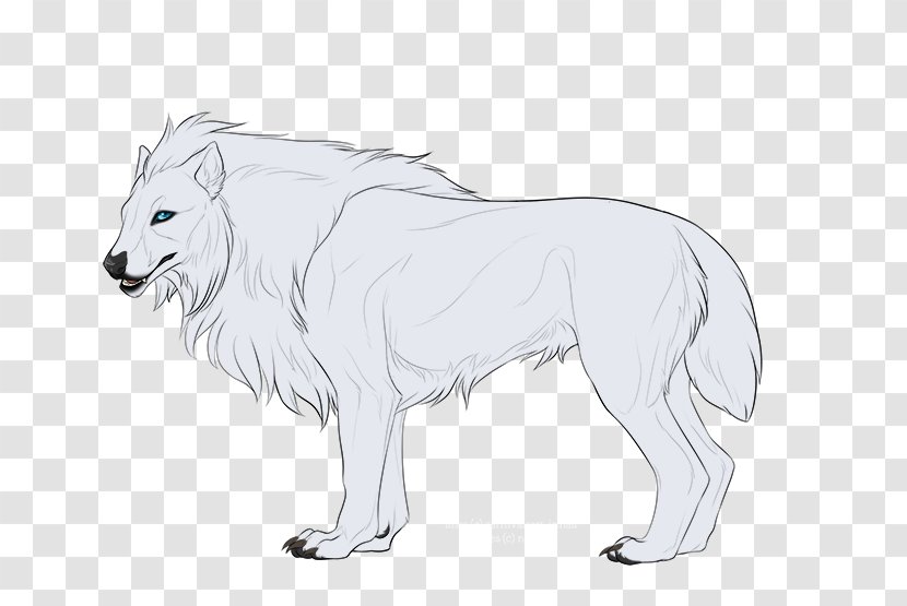 Lion Gray Wolf DeviantArt Sketch - Big Cats Transparent PNG