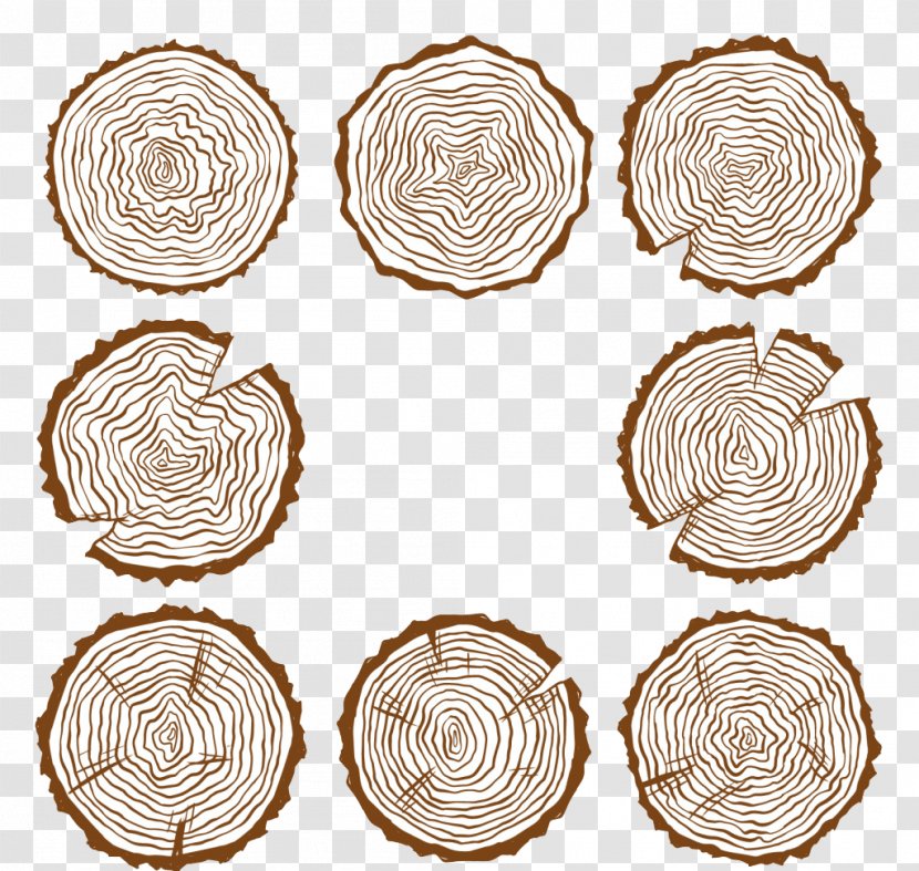 Tree Wood Clip Art - Chip Transparent PNG