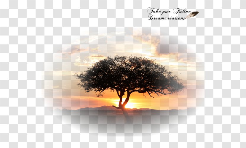 Landscape Africa Création Graphique PlayStation Portable Computer - Book - Sunset Clouds Transparent PNG