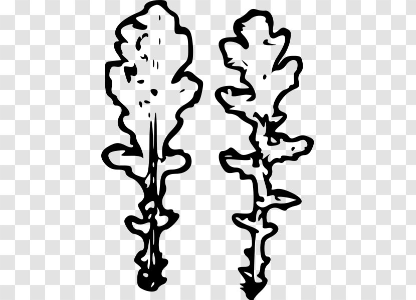 Plant Stem Leaf White Flower Clip Art - Draw Transparent PNG