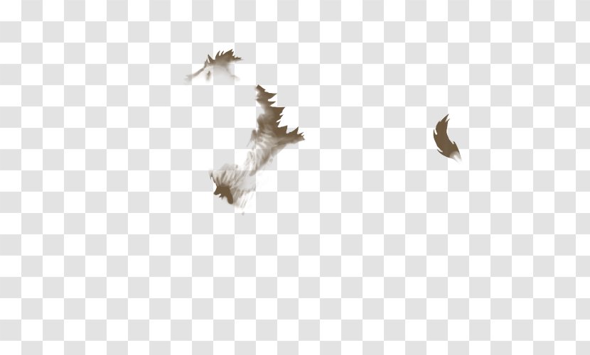 Wing Insect Feather Sky Plc Transparent PNG