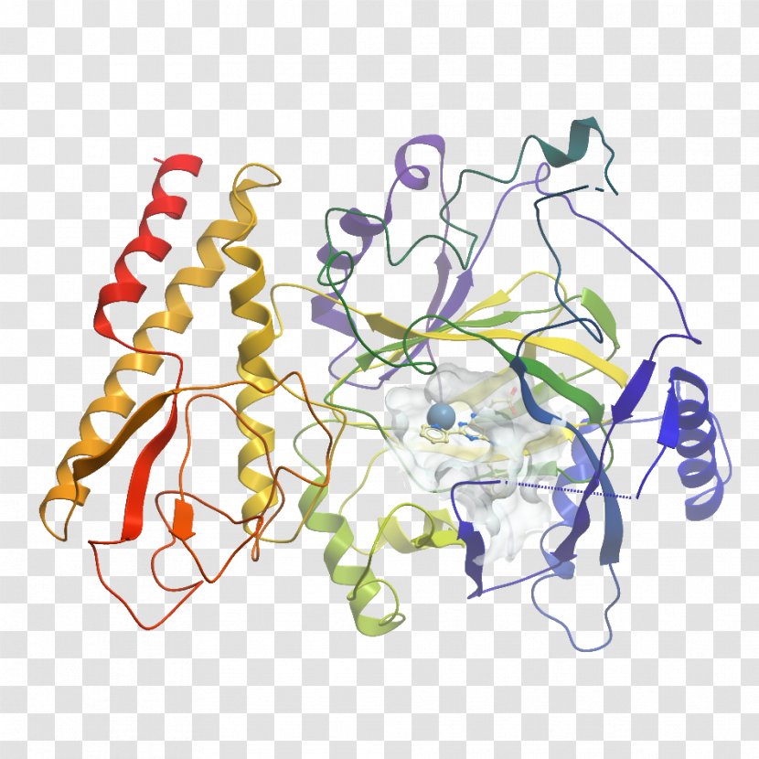 Line Clip Art - Organism - Dna Structure Human Transparent PNG