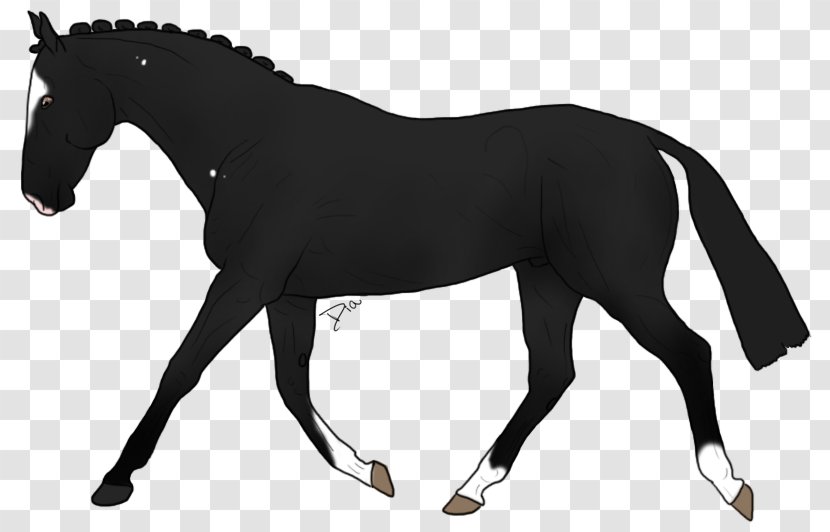 Mustang Stallion Mare Lipizzan Appaloosa - Horse Harness Transparent PNG