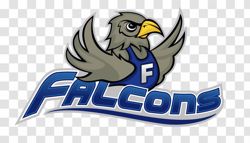 Logo Falcon Brand Font Elementary School - Wiki - Heavy Transparent PNG