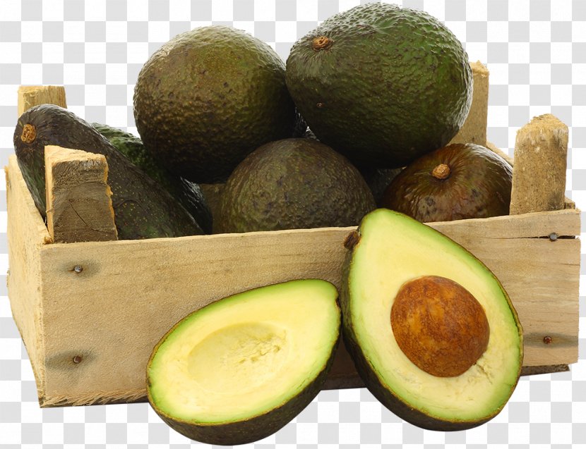 Guacamole Food Low-fat Diet Avocado - Healthy Transparent PNG