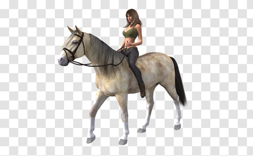 Riding Horse Equestrian Clip Art - Mustang Transparent PNG
