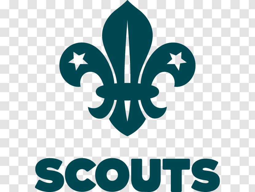 Scout Group Scouting Beavers Beaver Scouts Cub Transparent PNG