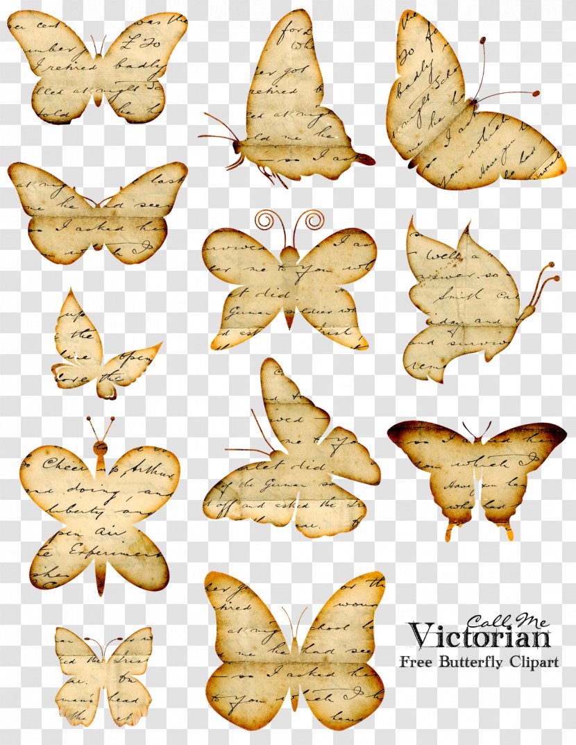 Monarch Butterfly Paper Book Clip Art - Butterflies And Moths Transparent PNG