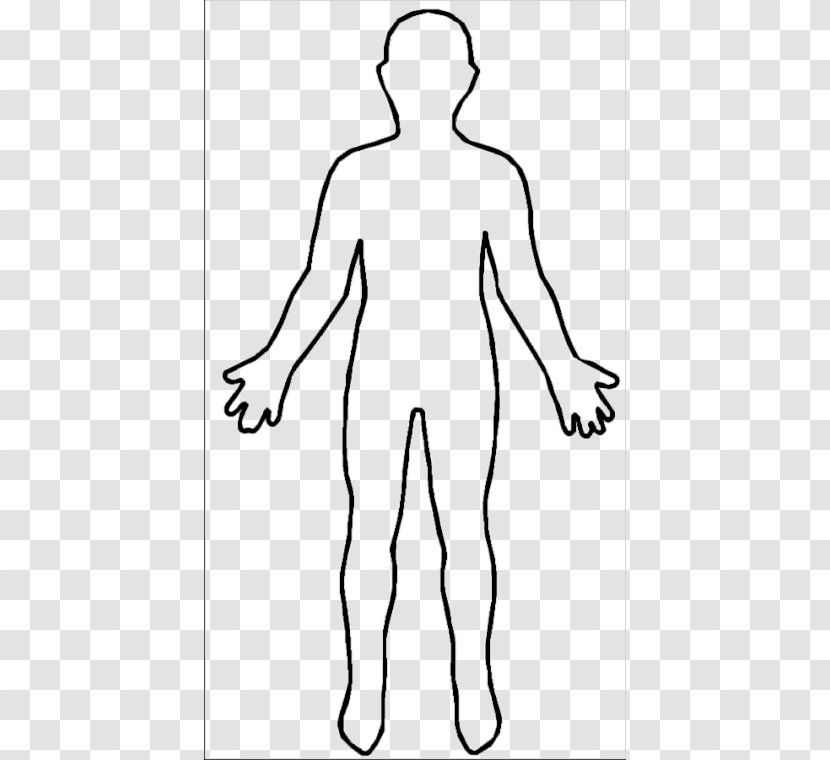 Outline Person Homo Sapiens Clip Art - Cartoon - Female Shape Cliparts Transparent PNG