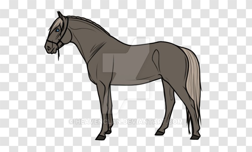 Stallion Pony Foal Mustang Mare Transparent PNG