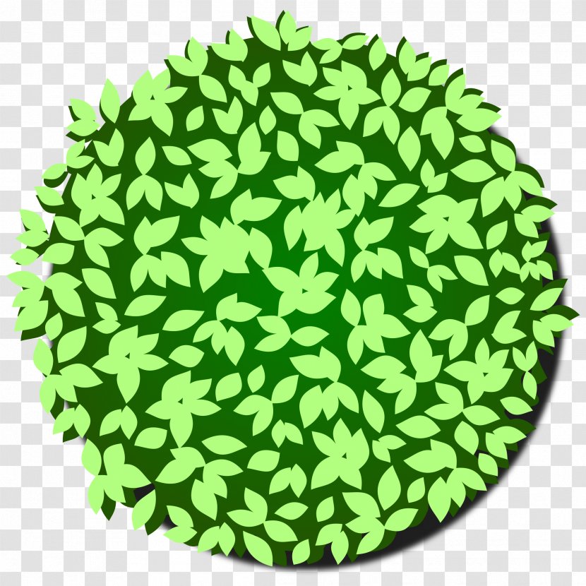 Tree Shrub Bonsai - Green Transparent PNG