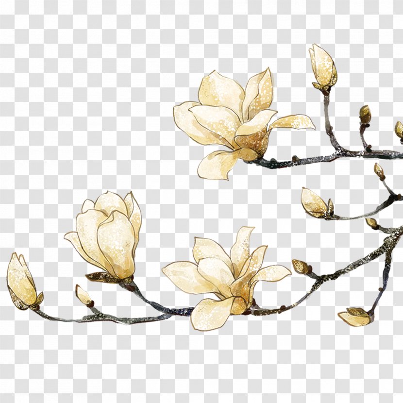 Southern Magnolia Painting Flower - Watercolor - White Peach Transparent PNG
