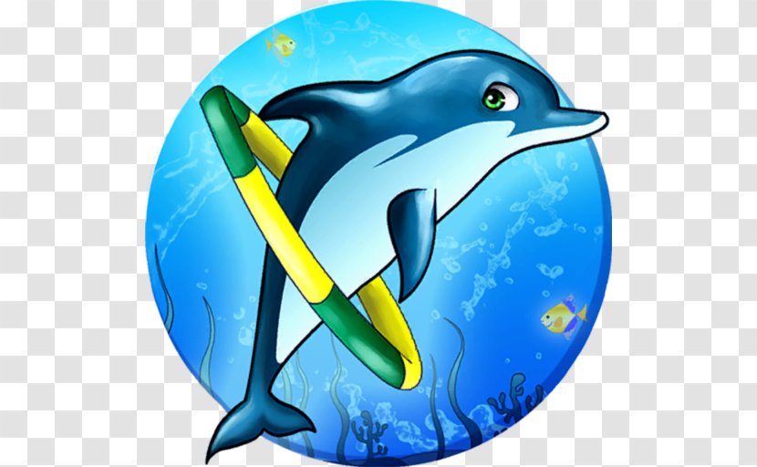 Common Bottlenose Dolphin Short-beaked Wholphin Marine Mammal - Show Transparent PNG