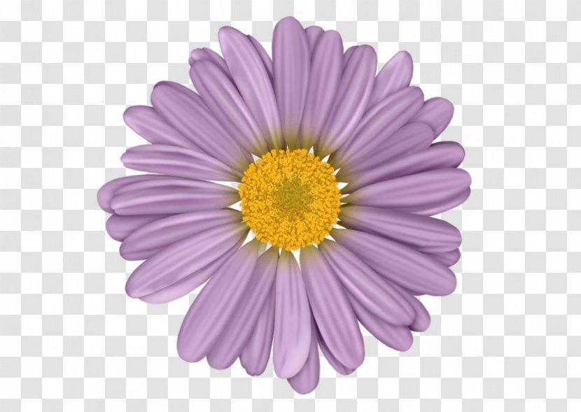 Flower Illustrator Clip Art - Gerbera - One Transparent PNG