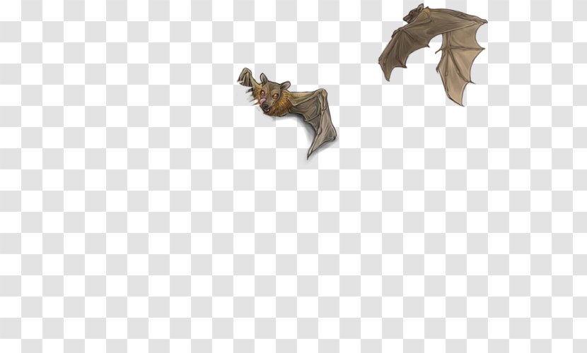 BAT-M - Wing - Mega Fruit Bat Drawing Transparent PNG