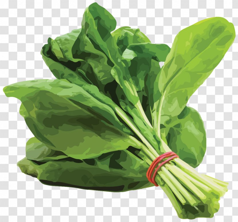 Spinach Saag Leaf Vegetable Organic Food - Local Transparent PNG