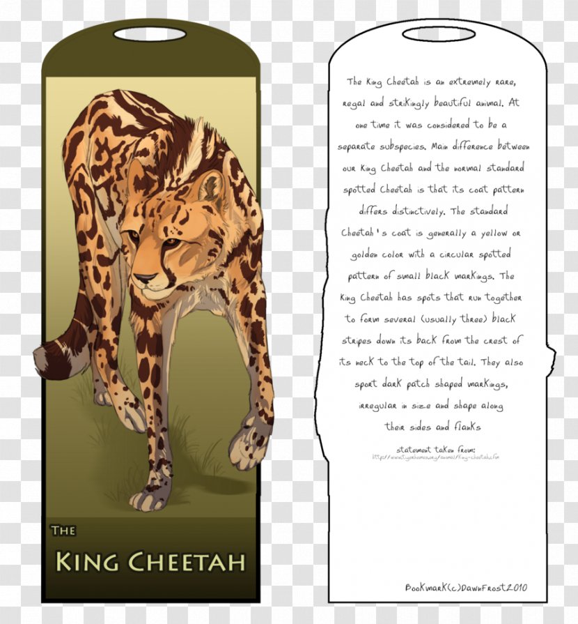 Tiger King Cheetah Leopard Lion Transparent PNG