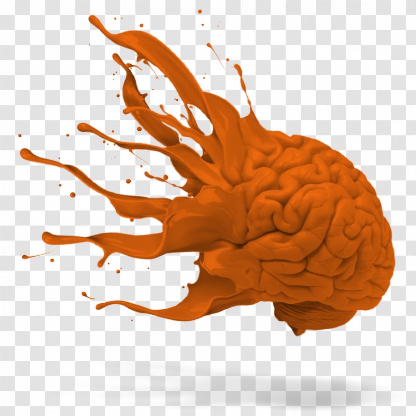 Drawing Agy Exploitin' - Orange - Cerebro Transparent PNG