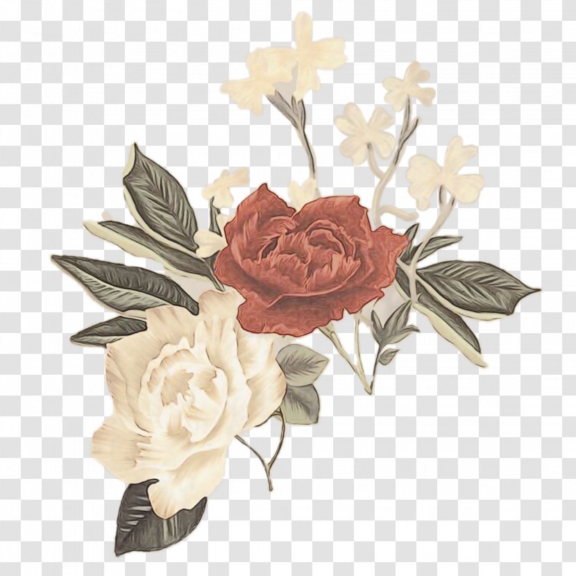 Garden Roses - Watercolor - Rose Order Beige Transparent PNG