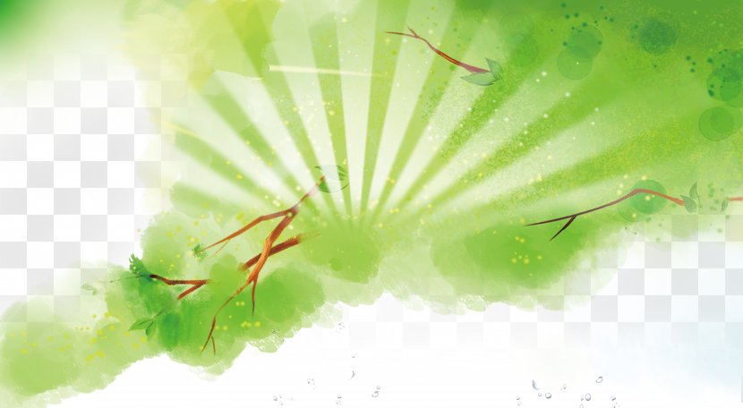 Chroma Key Green Graphic Design Wallpaper - Pollinator - Background Transparent PNG