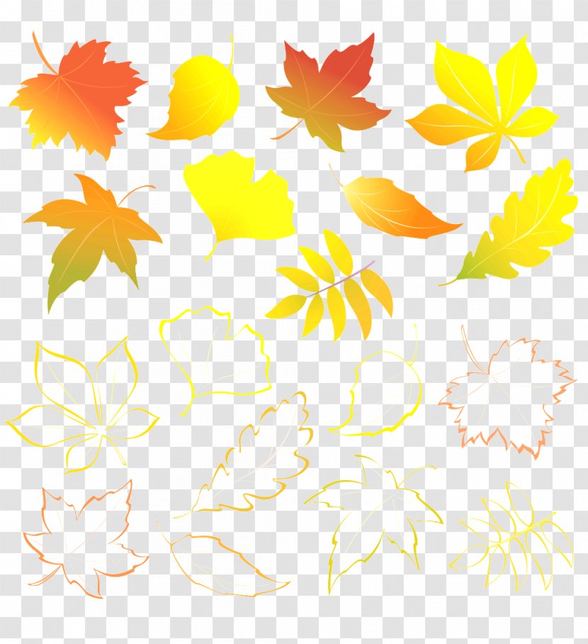 Leaf Yellow Tree Plant Clip Art - Pedicel Transparent PNG