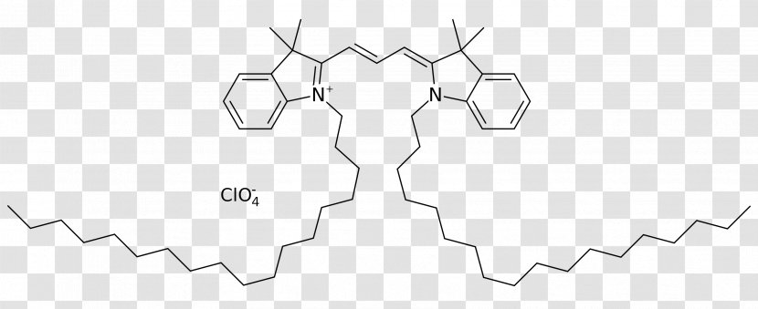 Point Technology Line Art - Frame Transparent PNG