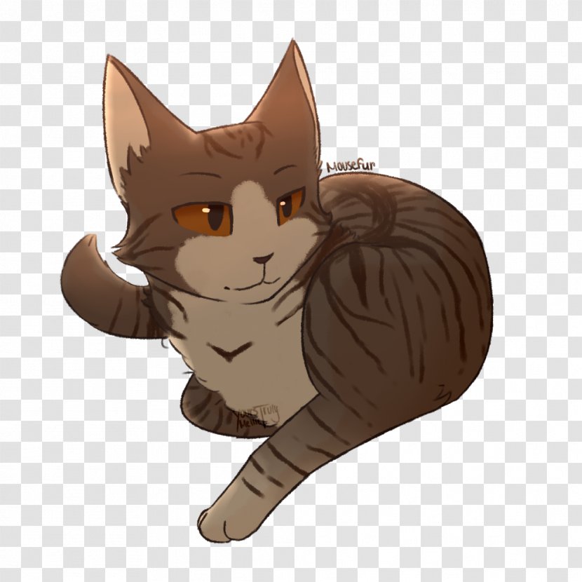 Kitten Whiskers Tabby Cat Domestic Short-haired - Carnivoran Transparent PNG