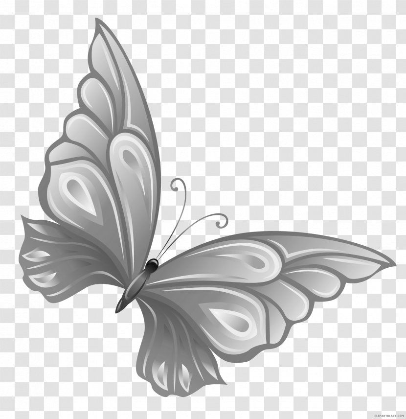 Glasswing Butterfly Clip Art Insect - Butterflies And Moths Transparent PNG