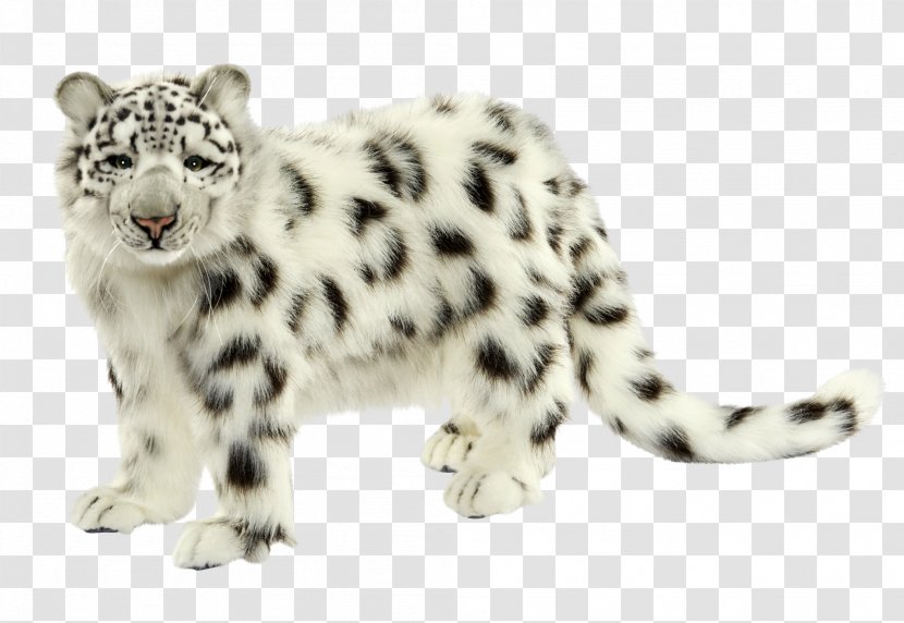 Felidae Anatolian Leopard Amur Snow Mammal Transparent PNG