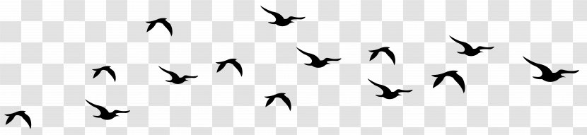 Bird Flight Clip Art - Black And White Transparent PNG