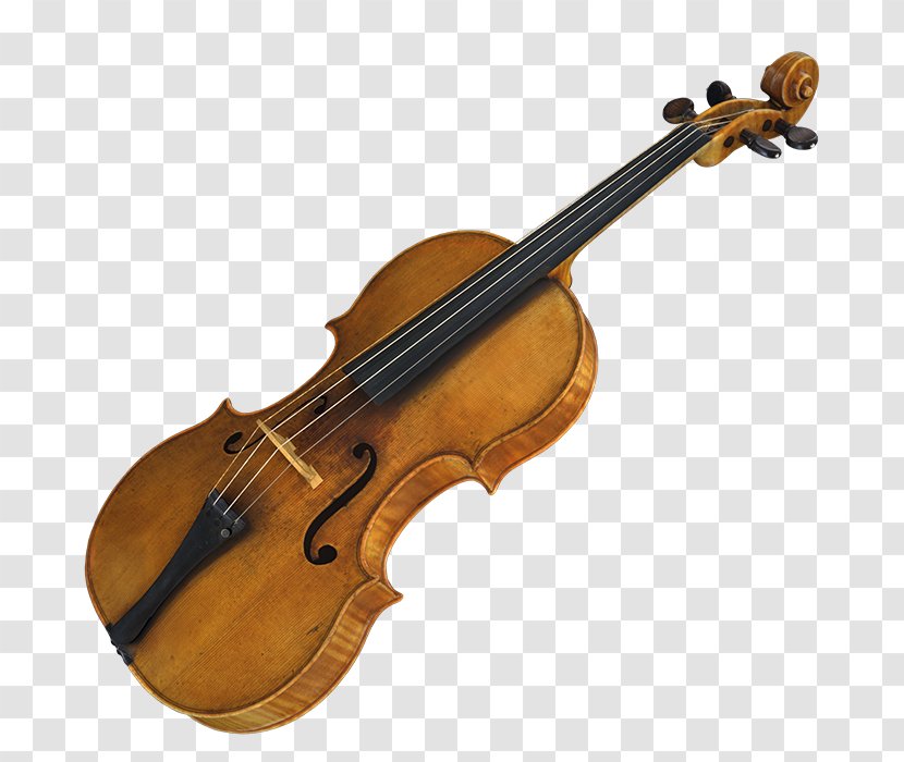 Violin Viola Musical Instruments String Amati - Flower Transparent PNG