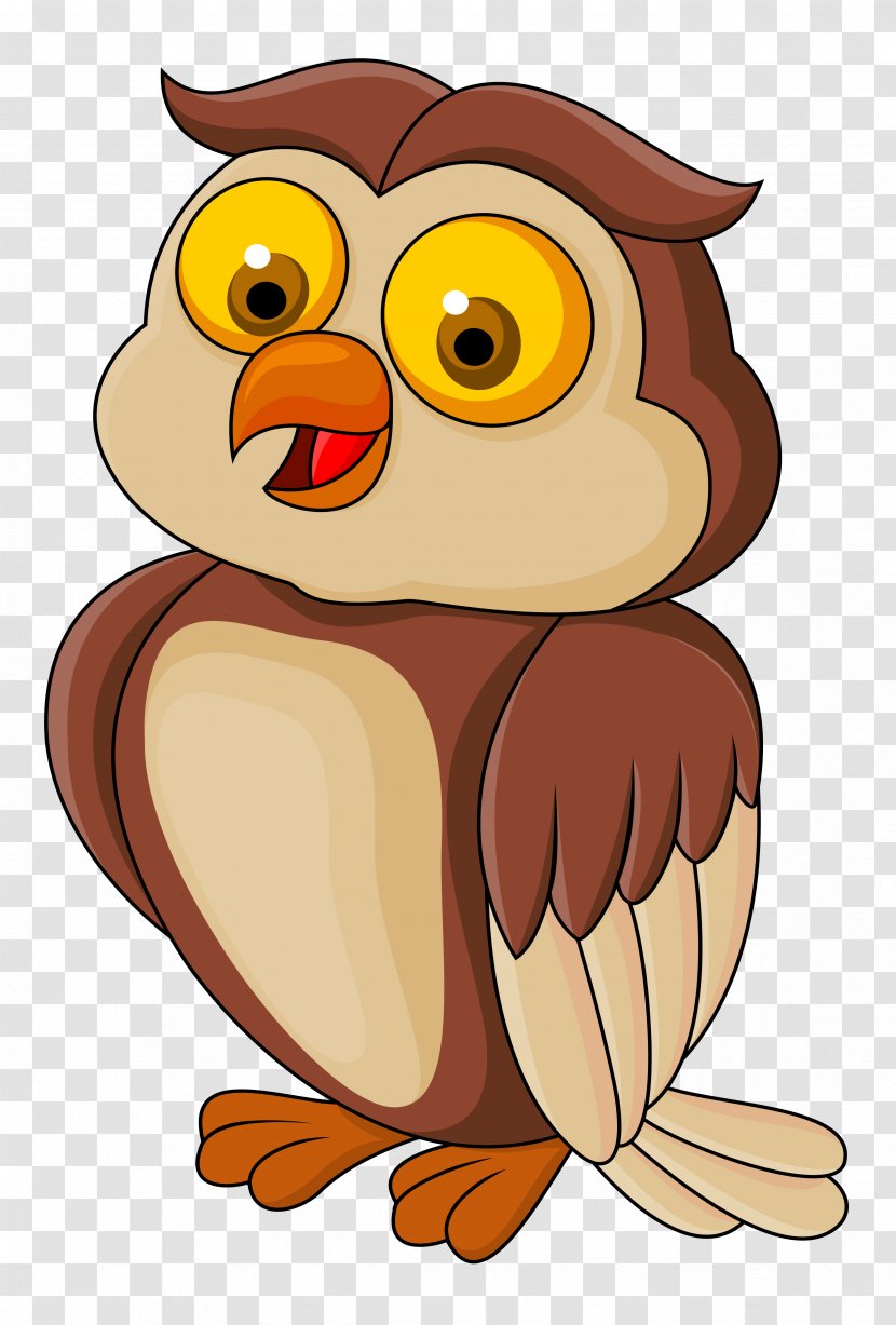 Clip Art Vector Graphics Image Illustration Drawing - Organism - Owl Transparent PNG