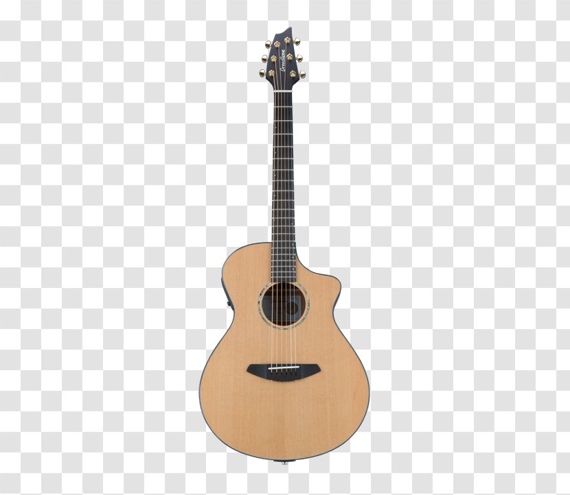 Acoustic-electric Guitar Steel-string Acoustic Dreadnought - Tree - Concert Transparent PNG