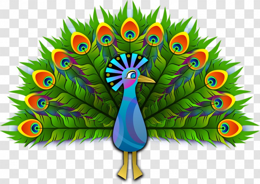 Peafowl Clip Art - Drawing - Peacock Transparent PNG