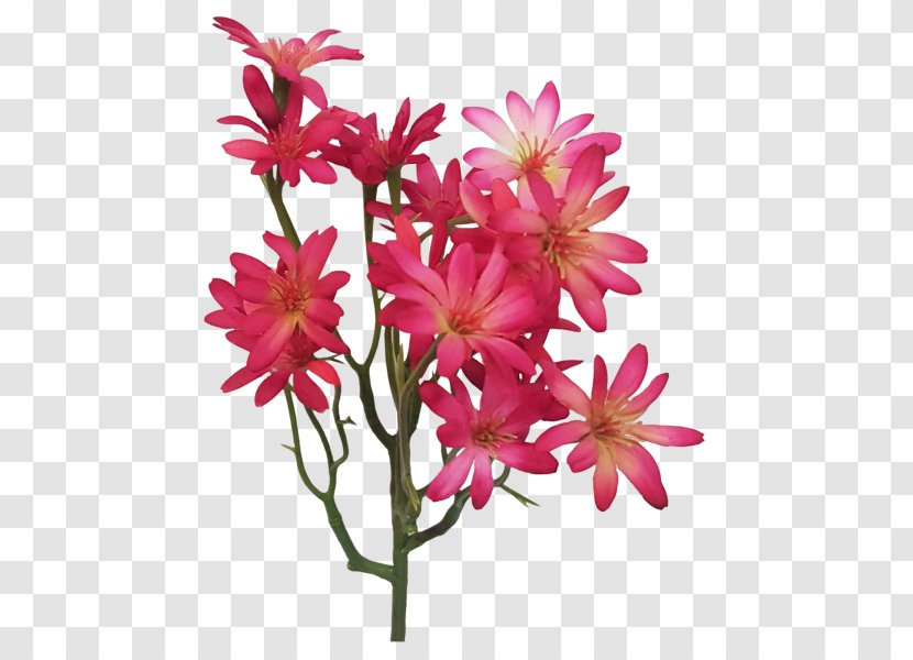 Flower Flowering Plant Pink Petal - Wildflower Stem Transparent PNG