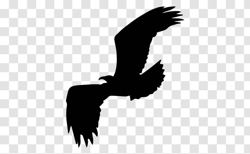 Bald Eagle Silhouette Bird Clip Art - Arm Transparent PNG