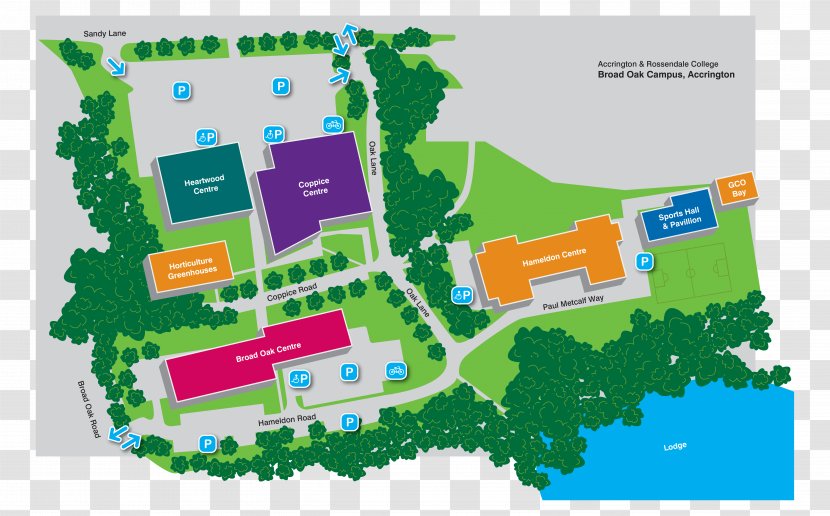 Accrington And Rossendale College Georgia & State University Of North Alabama Campus - Life Transparent PNG