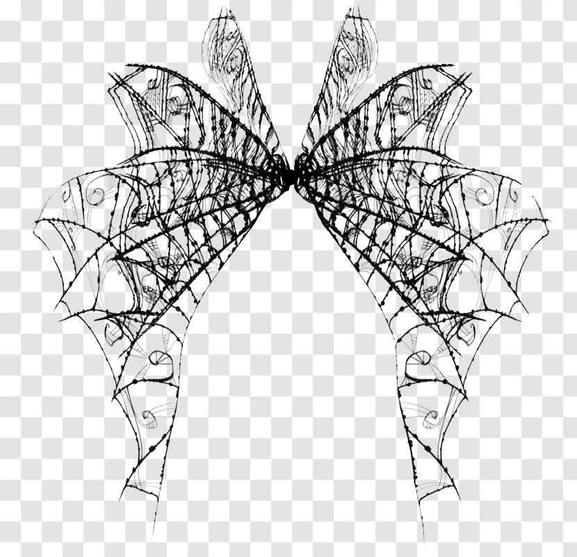 Drawing - Monochrome Photography - Mesh Wings Transparent PNG