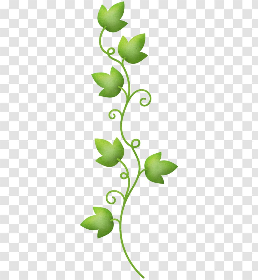 Graphics Drawing Illustration Clip Art Image - 2018 - Plant Transparent PNG