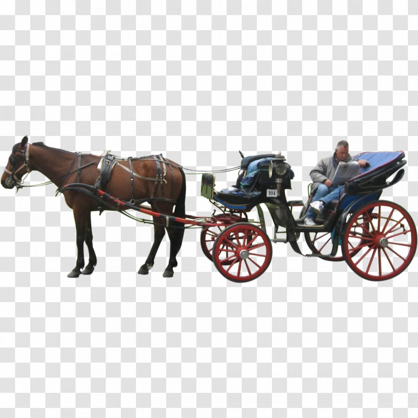 Horse And Buggy Carriage Cart - Horsedrawn Vehicle Transparent PNG