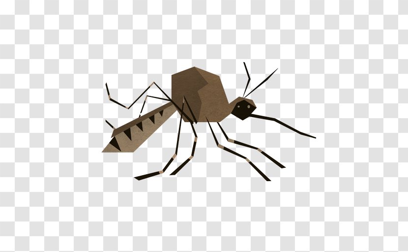 Mosquito Insect Pollinator - Arthropod Transparent PNG