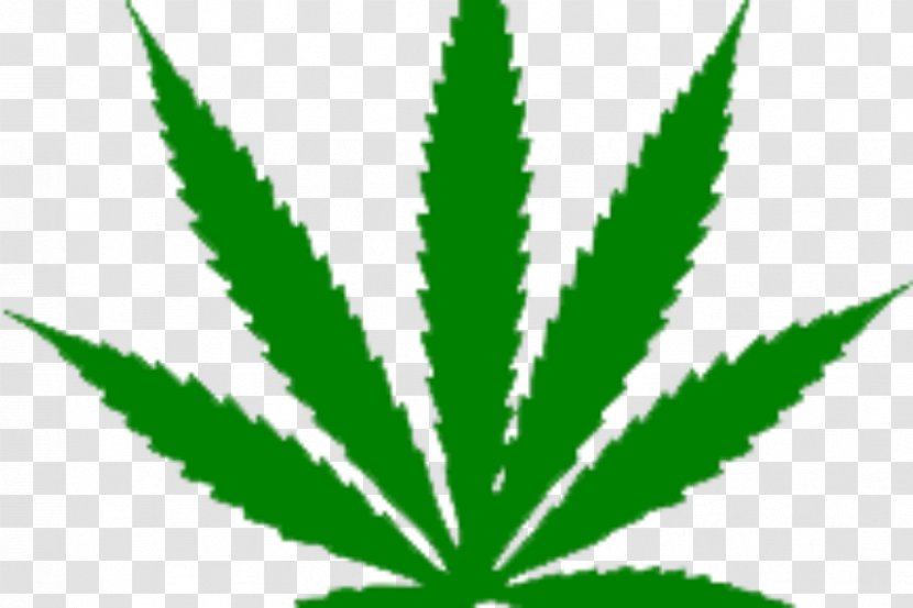 Medical Cannabis Clip Art Legality Of Hemp - Legalization Transparent PNG